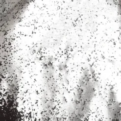 Melrose Rundhalsshirt mit Folienprint - NEUE KOLLEKTION 11 Melrose Rundhalsshirt mit Folienprint - NEUE KOLLEKTION -Melrosesan Geschaft 4ddfac95 2f0d 5c56 b355 29ad7afa0fba